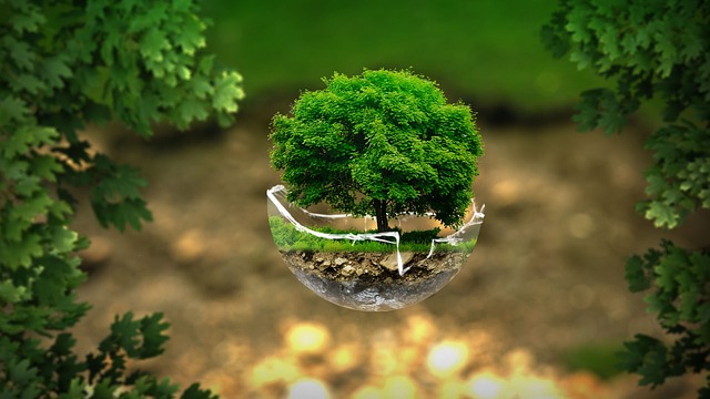 eco-friendly